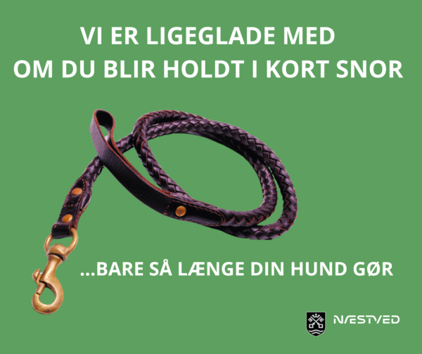 Her vogter jeg